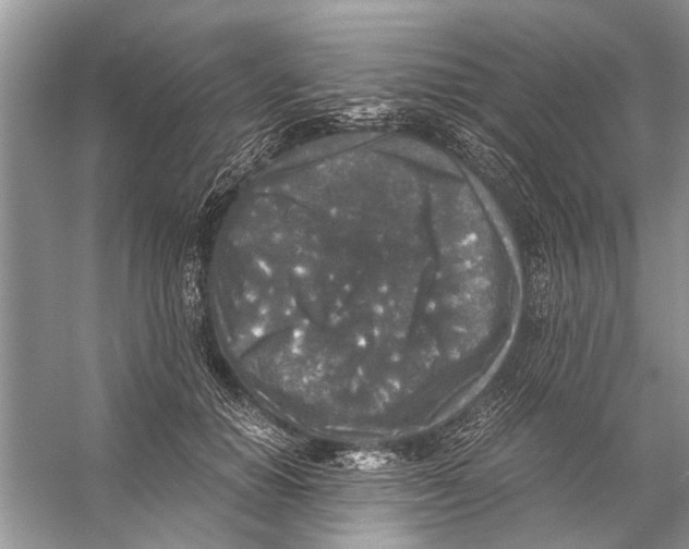 X0000056000654200509162319