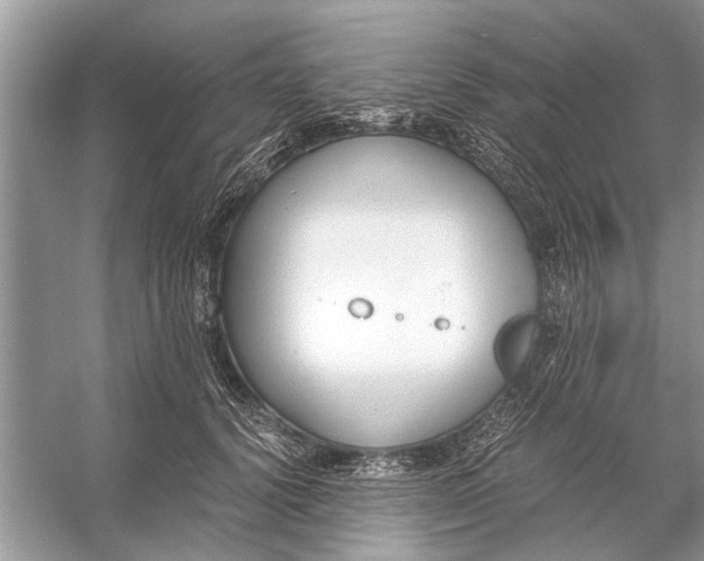 X0000056000656200509162319