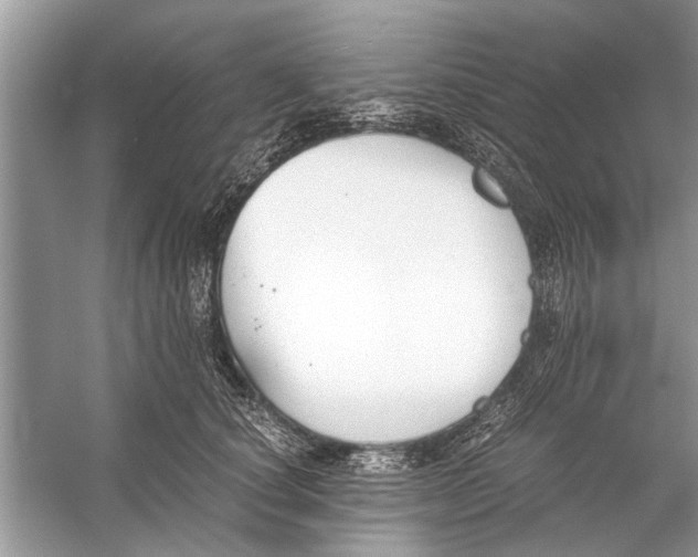 X0000056000660200509162319