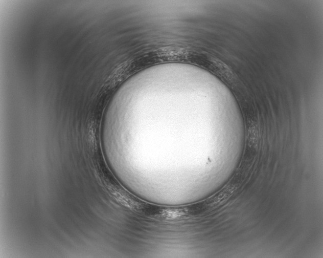 X0000056000662200509162319