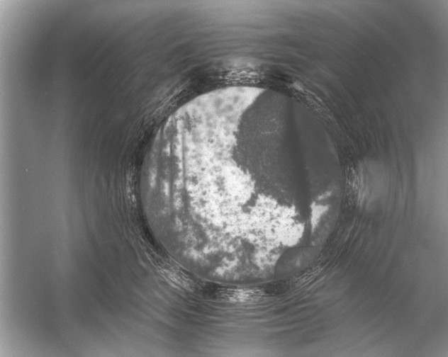 X0000056000663200509162319