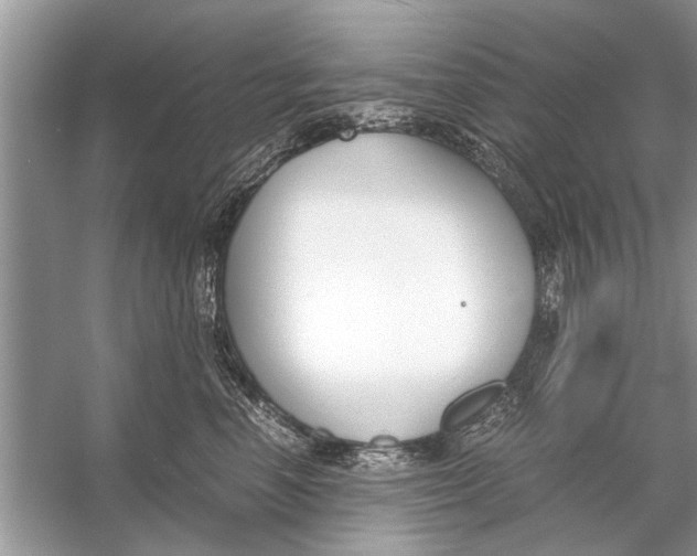 X0000056000666200509162319