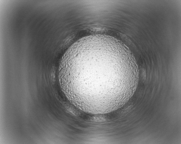 X0000056000668200509162319