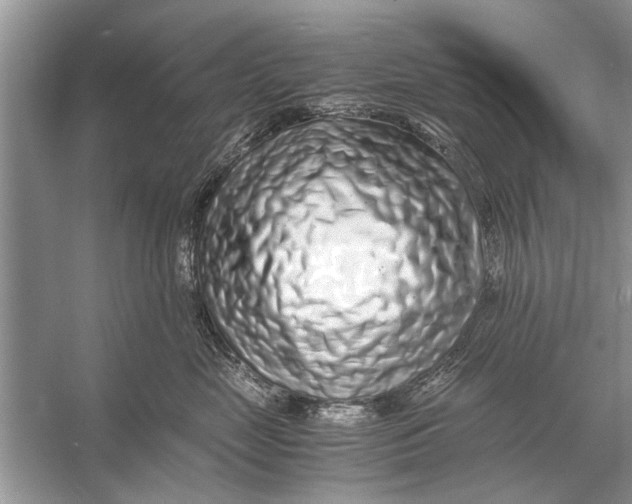 X0000056000669200509162319