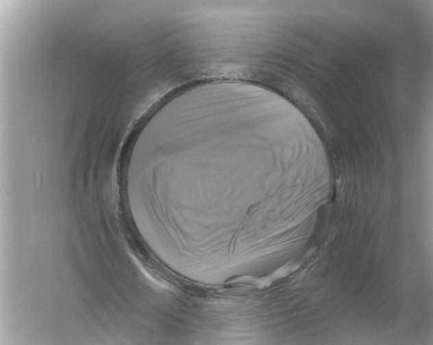 X0000056000674200509162318