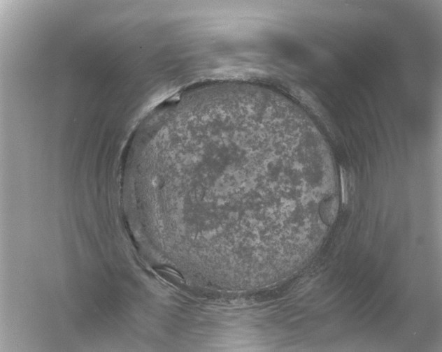 X0000056000675200509162318