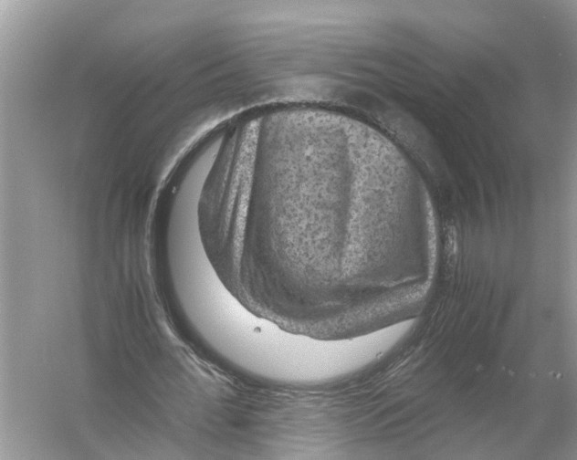 X0000056000676200509162318