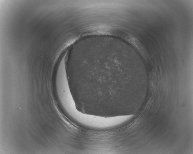 X0000056000677200509162318