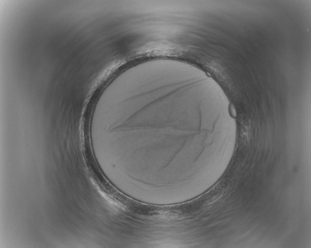 X0000056000678200509162318