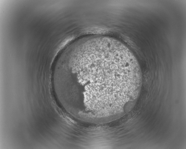 X0000056000679200509162318