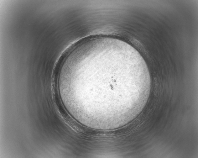 X0000056000680200509162318