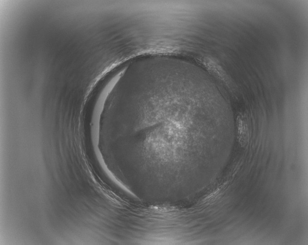 X0000056000684200509162318