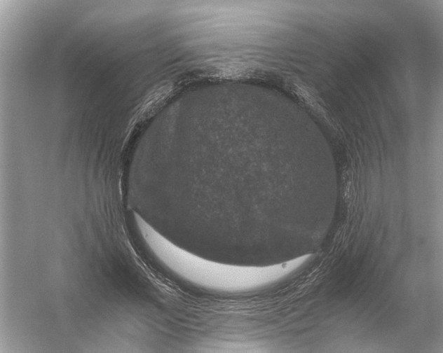 X0000056000685200509162318