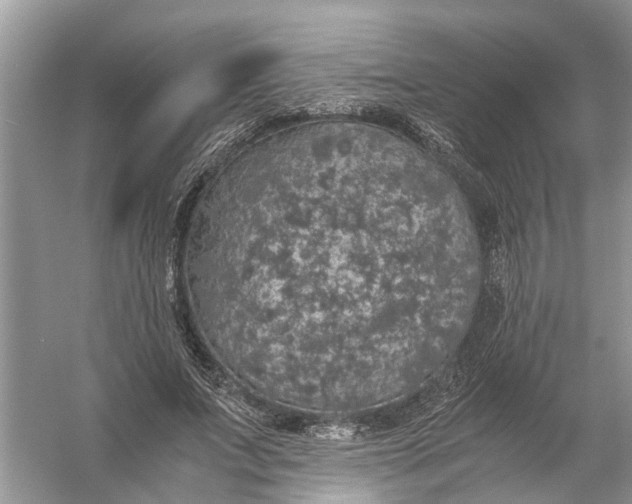 X0000056000687200509162318