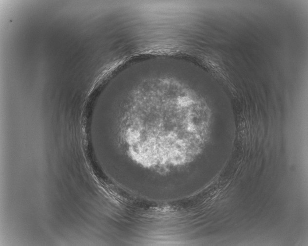 X0000056000688200509162318