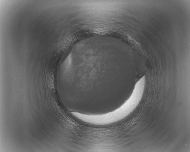 X0000056000689200509162318