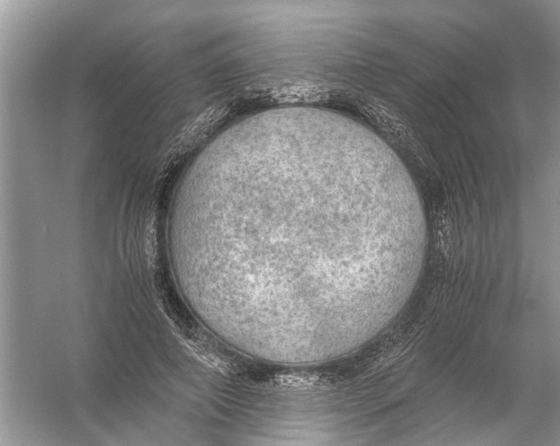 X0000056000690200509162318