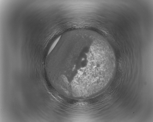 X0000056000691200509162318