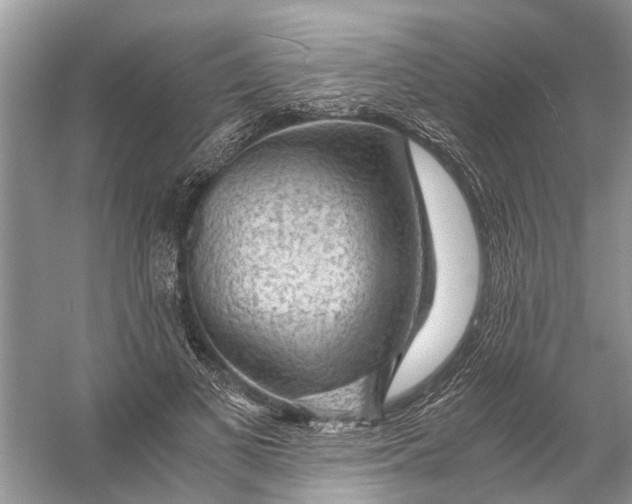 X0000056000693200509162318