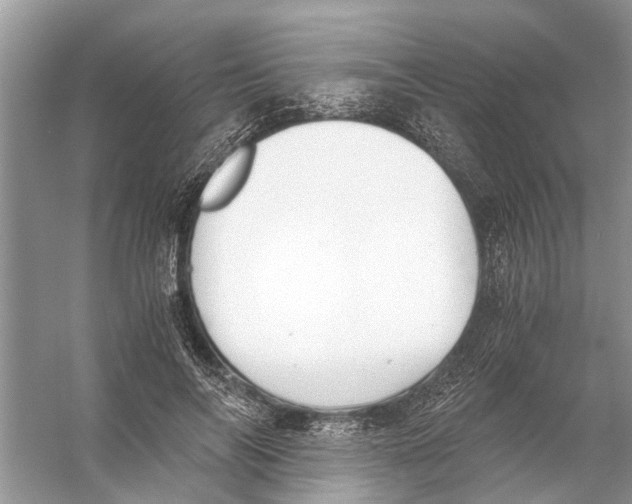 X0000056000694200509162318