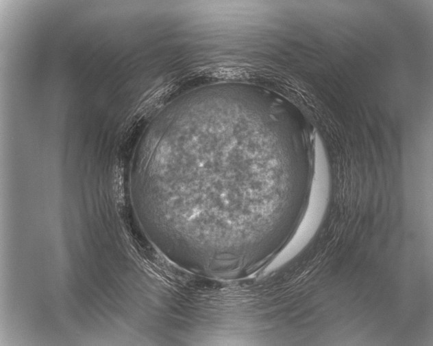 X0000056000696200509162318