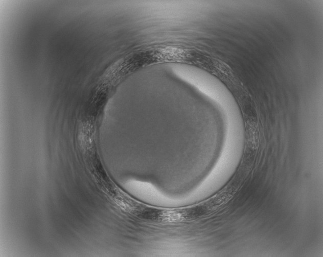 X0000056000701200509162318