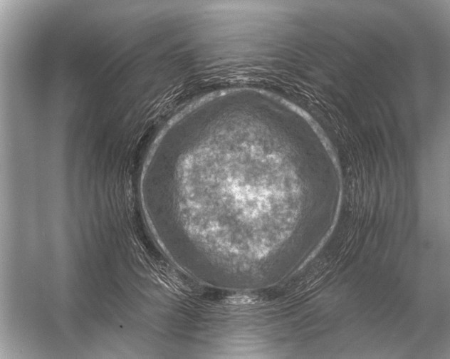 X0000056000704200509162318