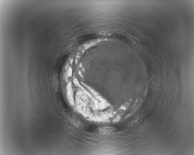 X0000056000707200509162318