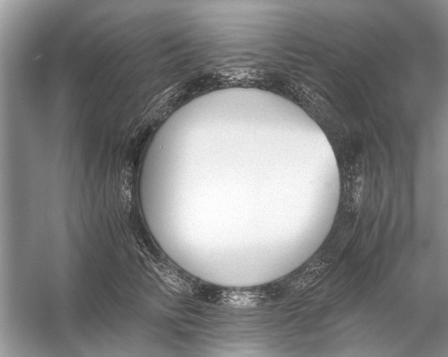 X0000056000710200509162318