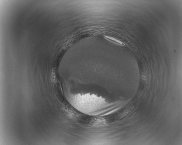 X0000056000715200509162318