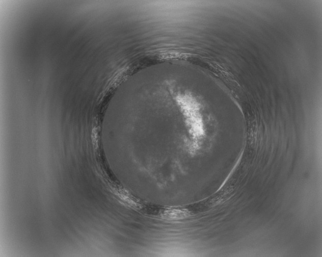 X0000056000716200509162318