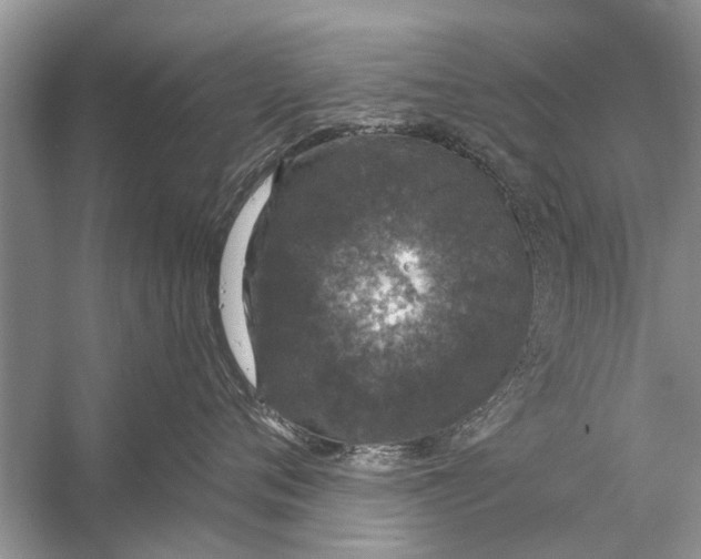 X0000056000720200509162318