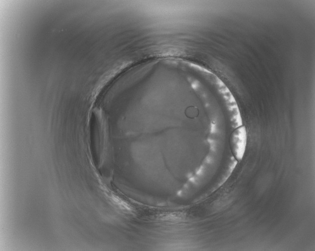 X0000056000721200509162317