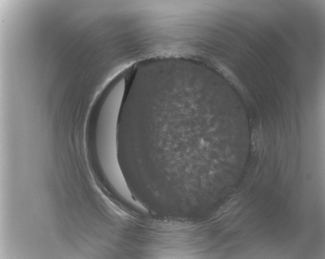 X0000056000722200509162317