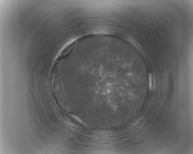 X0000056000723200509162317