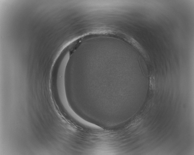 X0000056000724200509162317