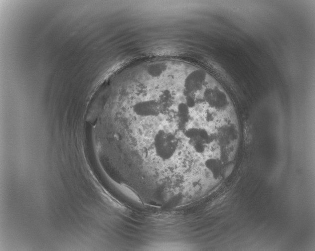 X0000056000725200509162317