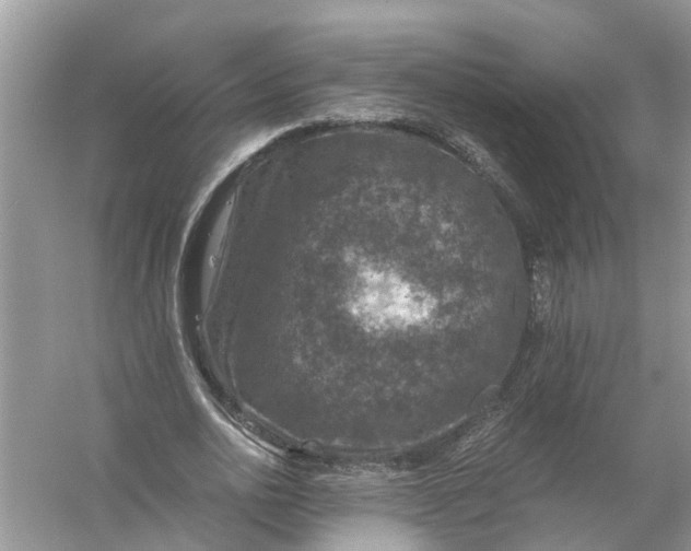 X0000056000726200509162317