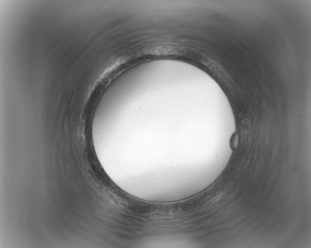 X0000056000727200509162317