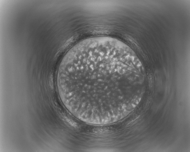 X0000056000729200509162317