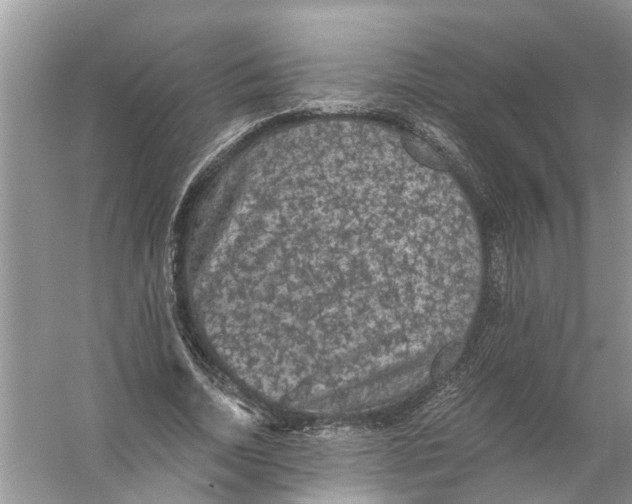 X0000056000730200509162317