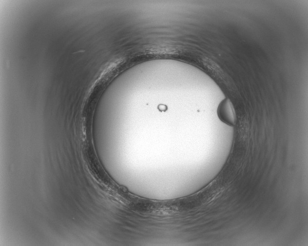 X0000056000731200509162317