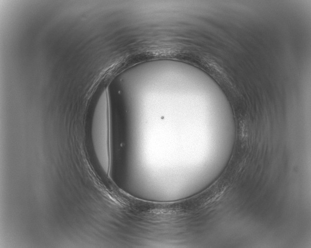 X0000056000733200509162317