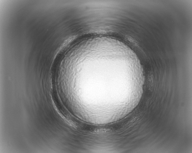 X0000056000734200509162317