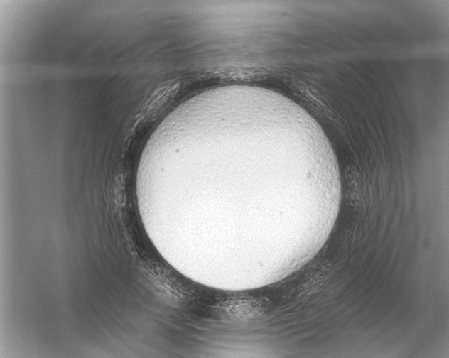 X0000056000738200509162317