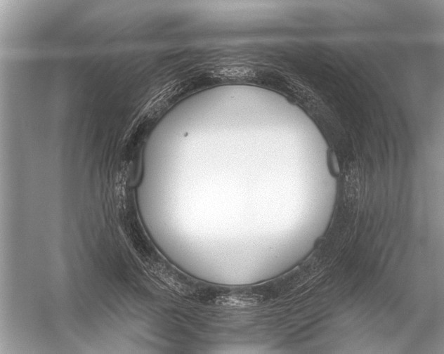 X0000056000739200509162317