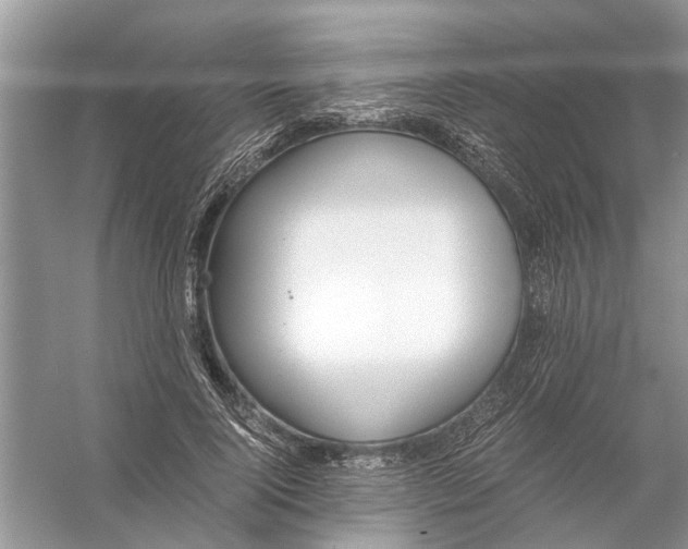 X0000056000740200509162317