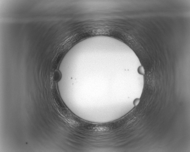 X0000056000741200509162317