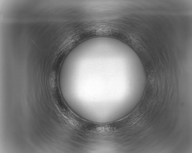 X0000056000744200509162317