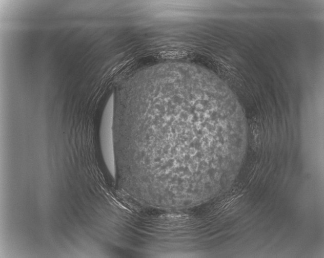 X0000056000745200509162317